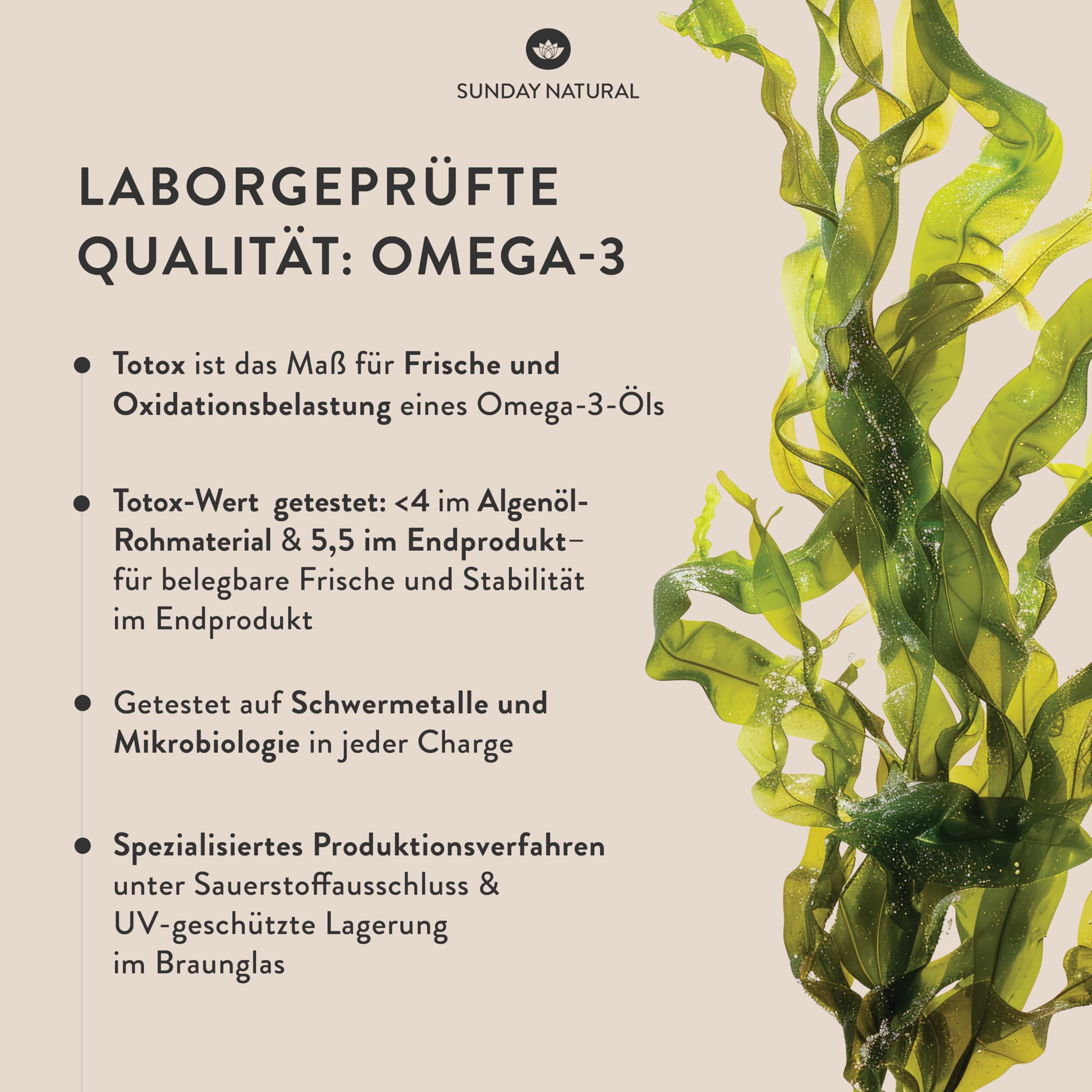 SUNDAY NATURAL® Omega 3 Vegan - 120 Softgel Kapseln - 1.000 mg Algenöl pro Tagesdosis: 350 mg DHA und 180 mg EPA (2 kapseln) - Leicht schluckbare Omega 3 Kapseln - Laborgeprüft