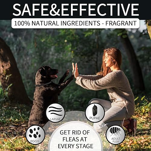 Miniatura 3 de Paquete de 4 collares antipulgas para perros, collar de pulgas y garrapatas de perro de 8 meses para prevenir pulgas y garrapatas para perro, collar