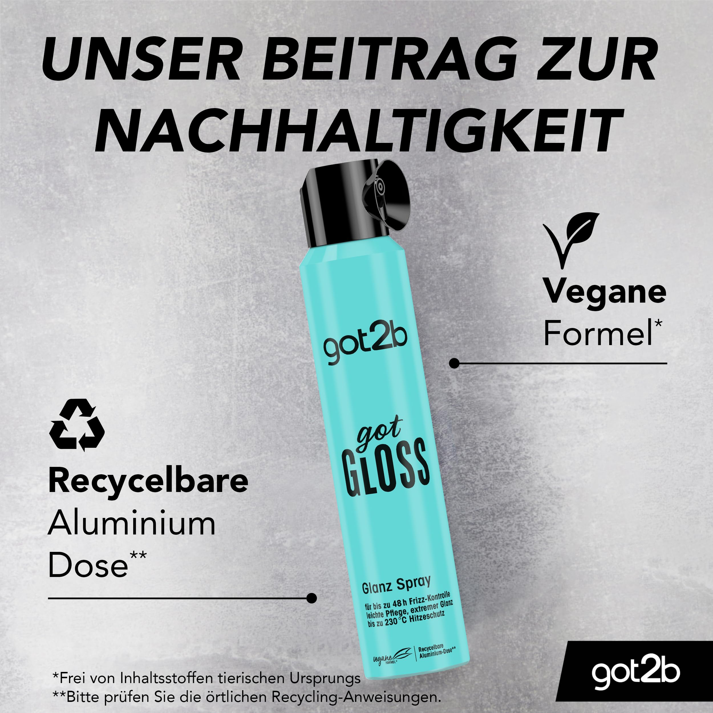 got2b GotGloss spray błyszczący (200 ml), spray do włosów zapewnia kontrolę puszenia się włosów do 48 godzin i najwyższy połysk, spray do stylizacji włosów chroni włosy przed temperaturami do 230°C