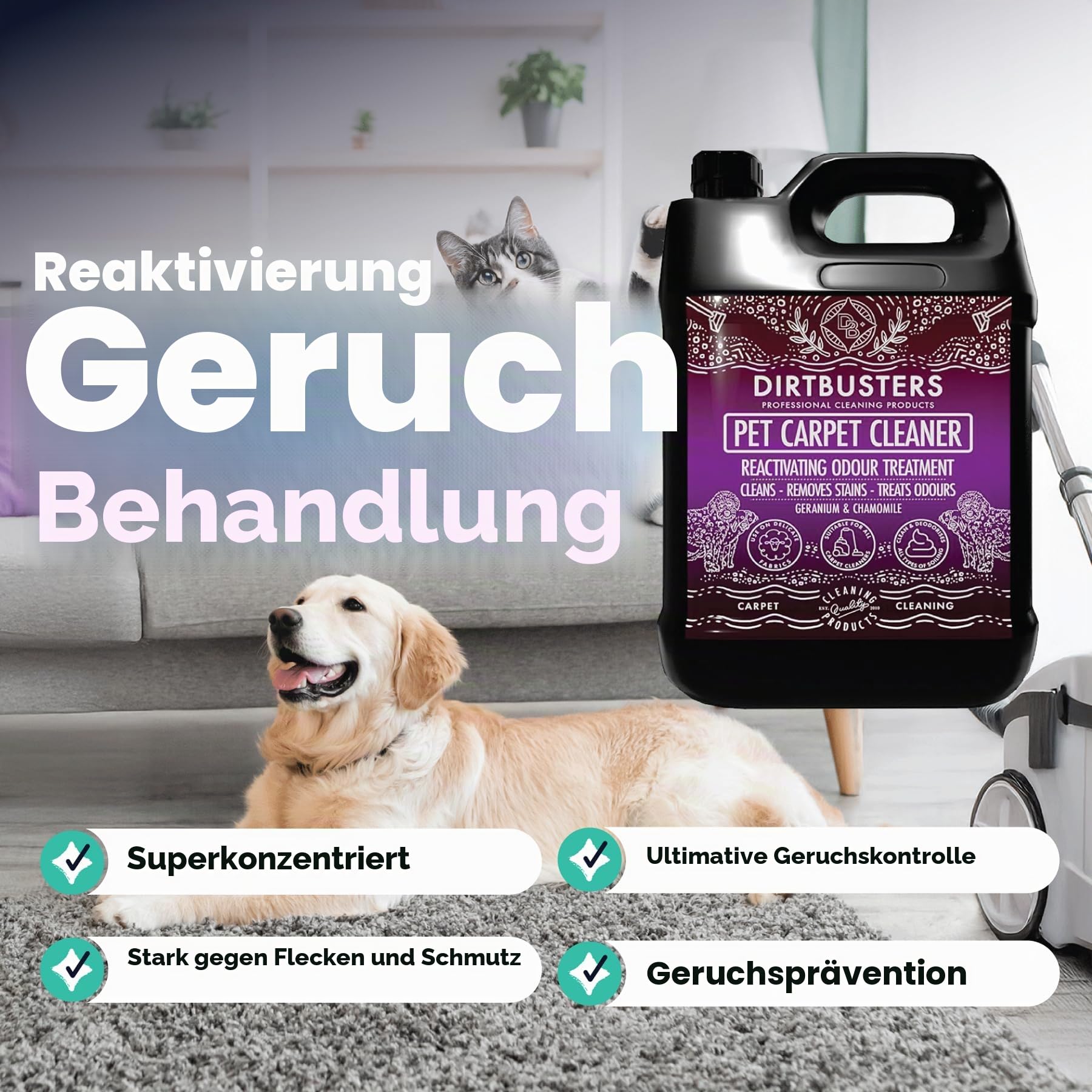Dirtbusters Haustier Teppichreiniger – neutralisiert Tiergerüche & entfernt Flecken in Teppichen & Polstern - mit Geranien- und Kamillenduft - für Teppichreinigungsmaschinen geeignet - 5 l Kanister