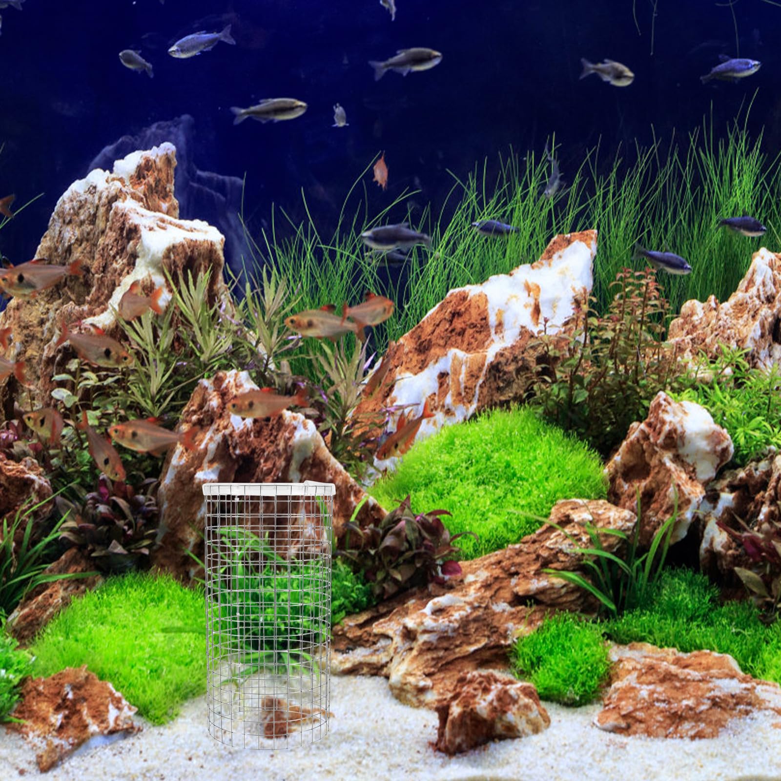 Alasum Rejilla de Cono de Desove para Acuarios de Hierro Plata, Fácil de Usar y Decorativa, Adecuado para Cría de Camarones y Peces Pequeños en Tanques de Reproducción