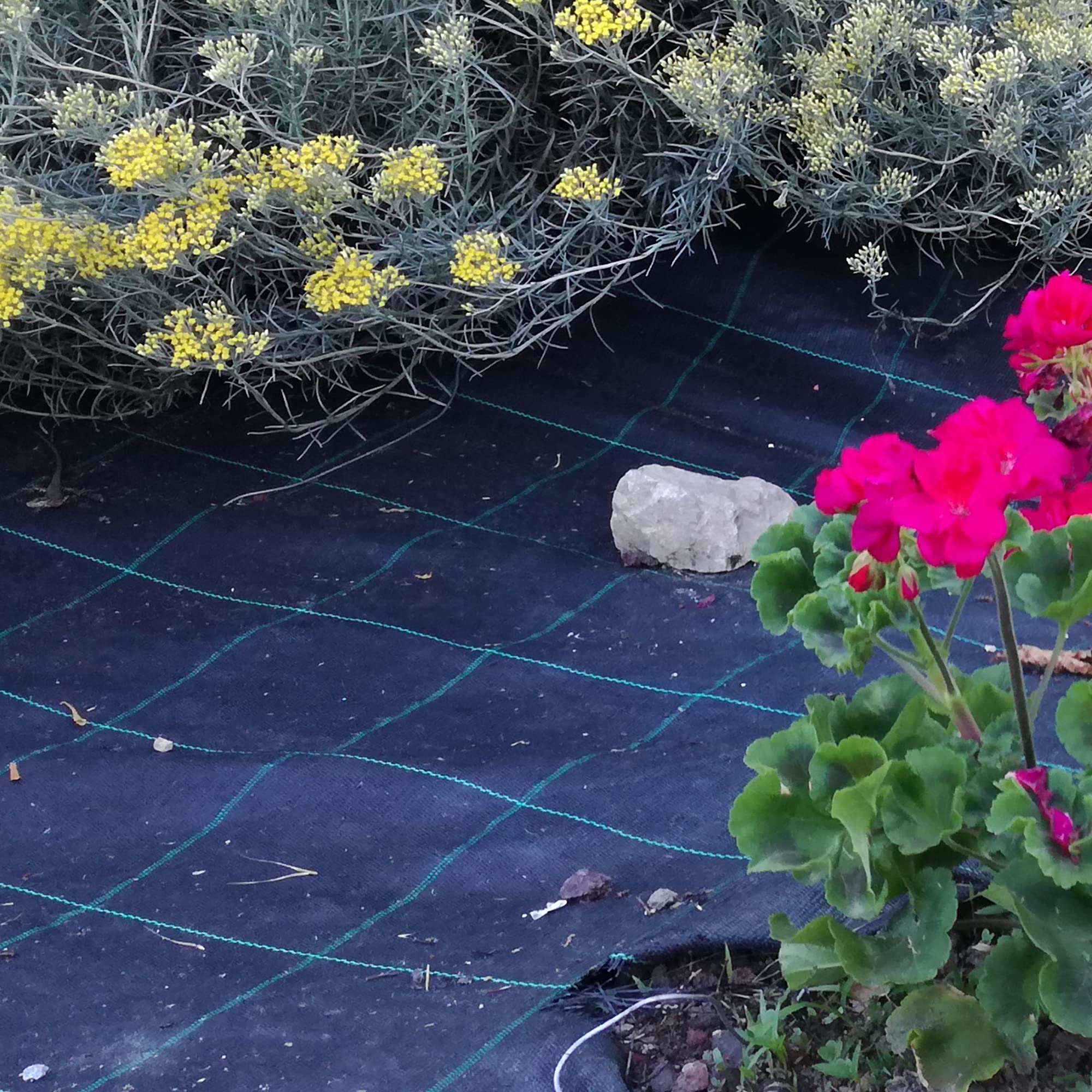 Tenax Toile de paillage Cover Pro 3,30x100 m Noir, pour Les Jardins et Les Potagers, Empêche Le Développement des Mauvaises Herbes Assurant la Qualité des Cultures
