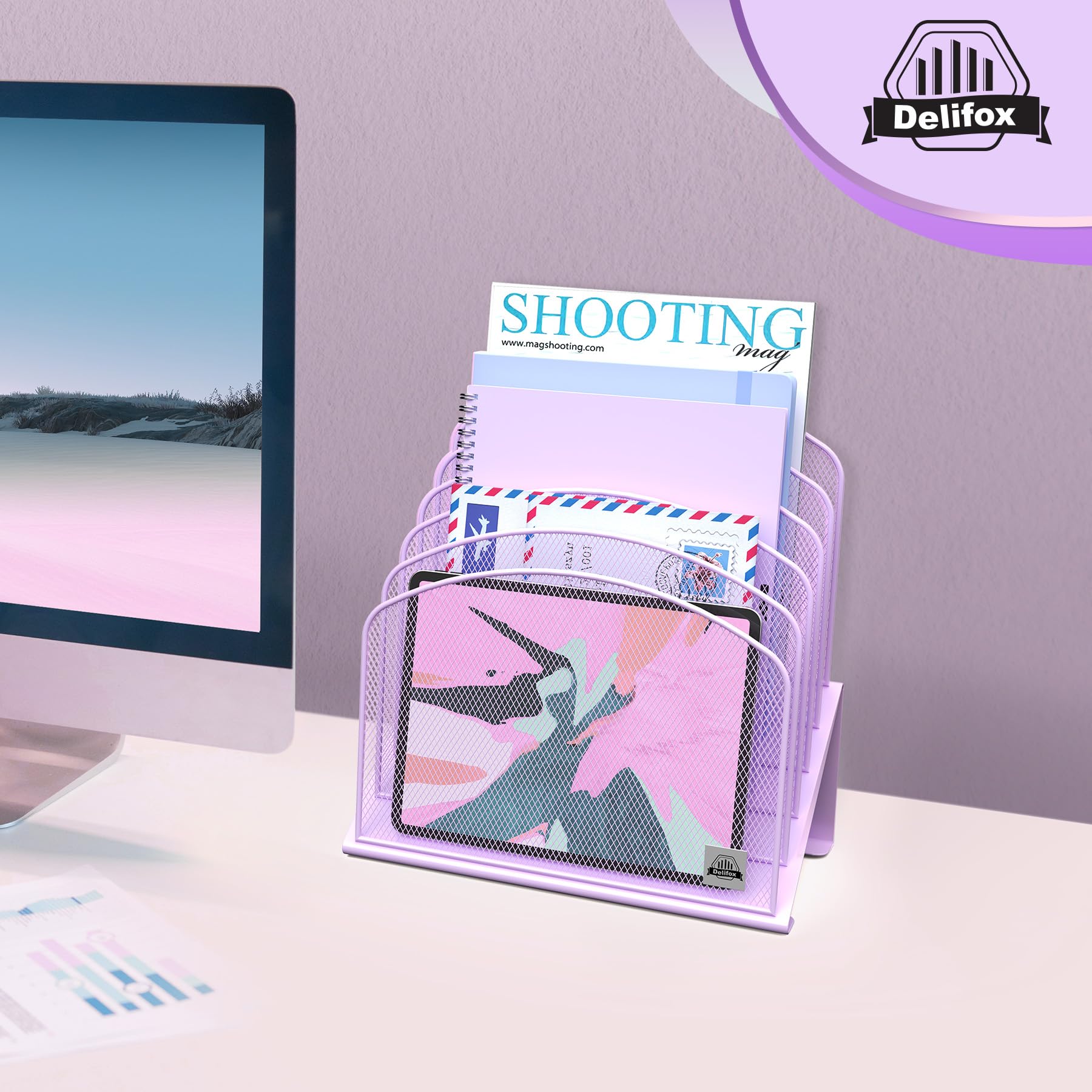 Delifox Organizer da scrivania inclinato, supporto verticale a 5 sezioni, in metallo, per ufficio, classe, organizzazione desktop (viola, 2 pezzi)