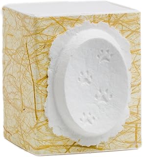 Earth Memorials Biodegradable Pet Urn (Cat Paw Box)