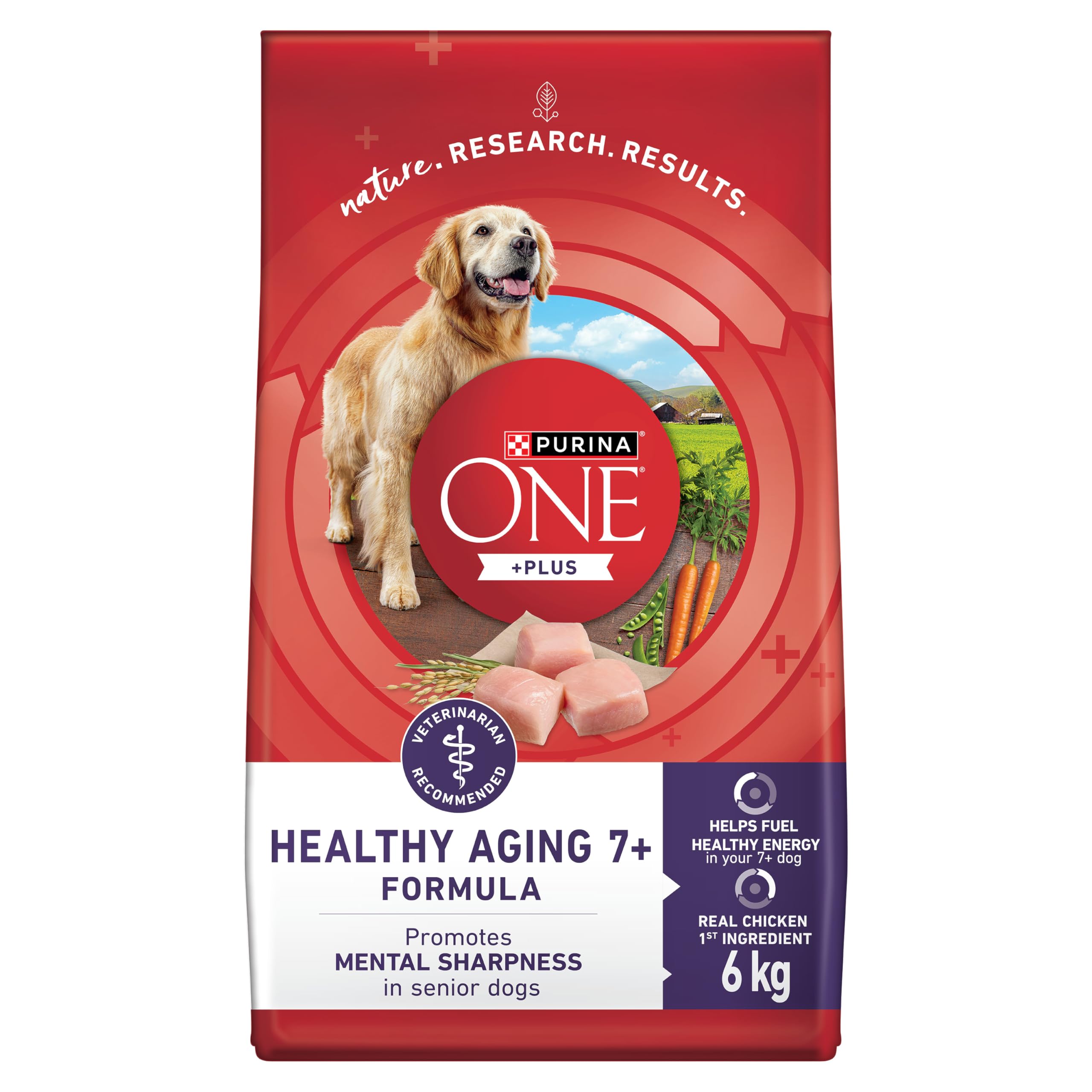 Purina ONE +Plus Dry Senior Dog Food - Healthy Aging 7+