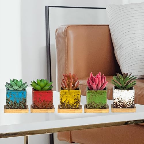 Miniatura 4 de ARTKETTY Set of 10 Succulent Pots with Drainage Trays, 2.1 Inch Ceramic Pots for Indoor Flower Plants, Small Square Cactus Planter Pots Bulk for
