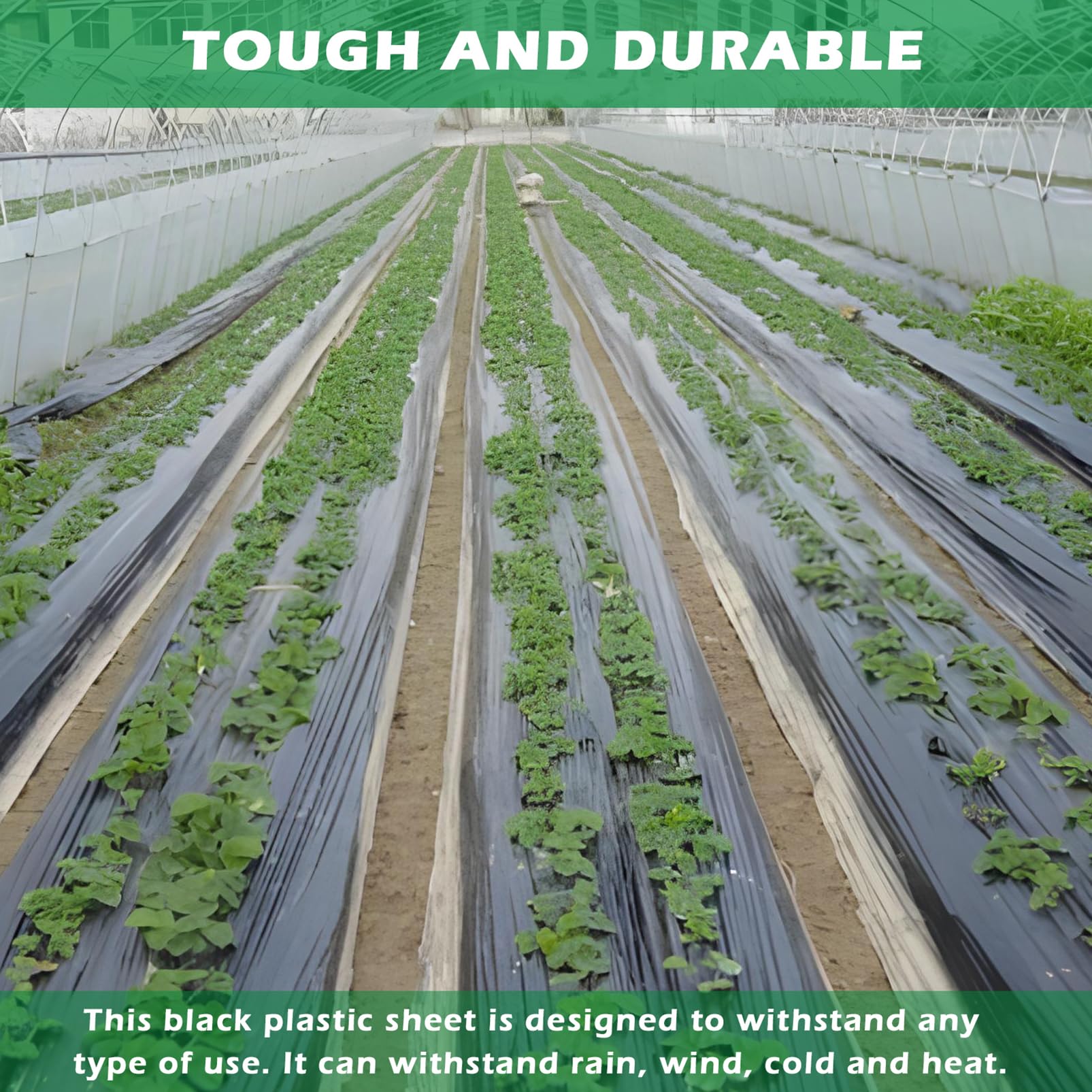 Telo Serra Nero 2 x 10M - Telo Protettivo per Serra - Resistente agli Strappi Extra Spesso - Copertura in Plastica Serra del Polytunnel Protezione del Giardino per Piante