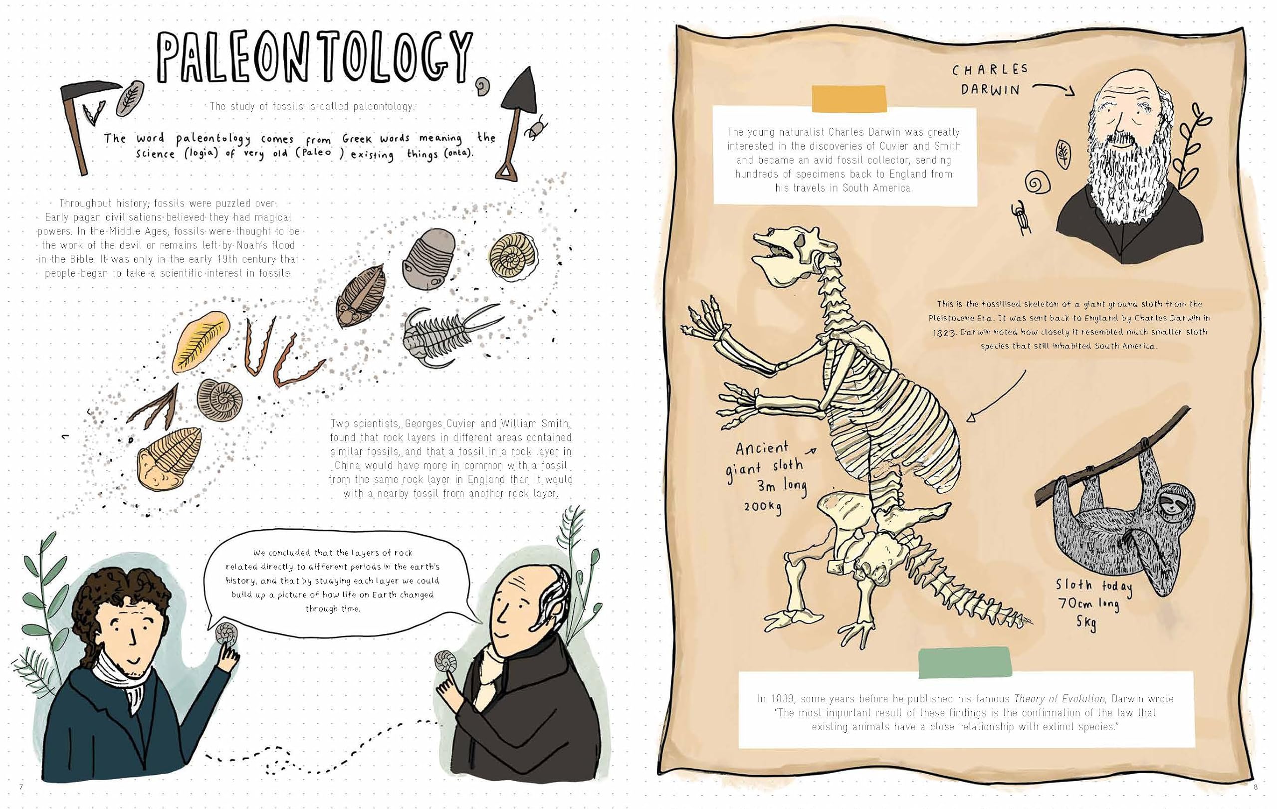 Stones and Bones: Fossils and the stories they tell
