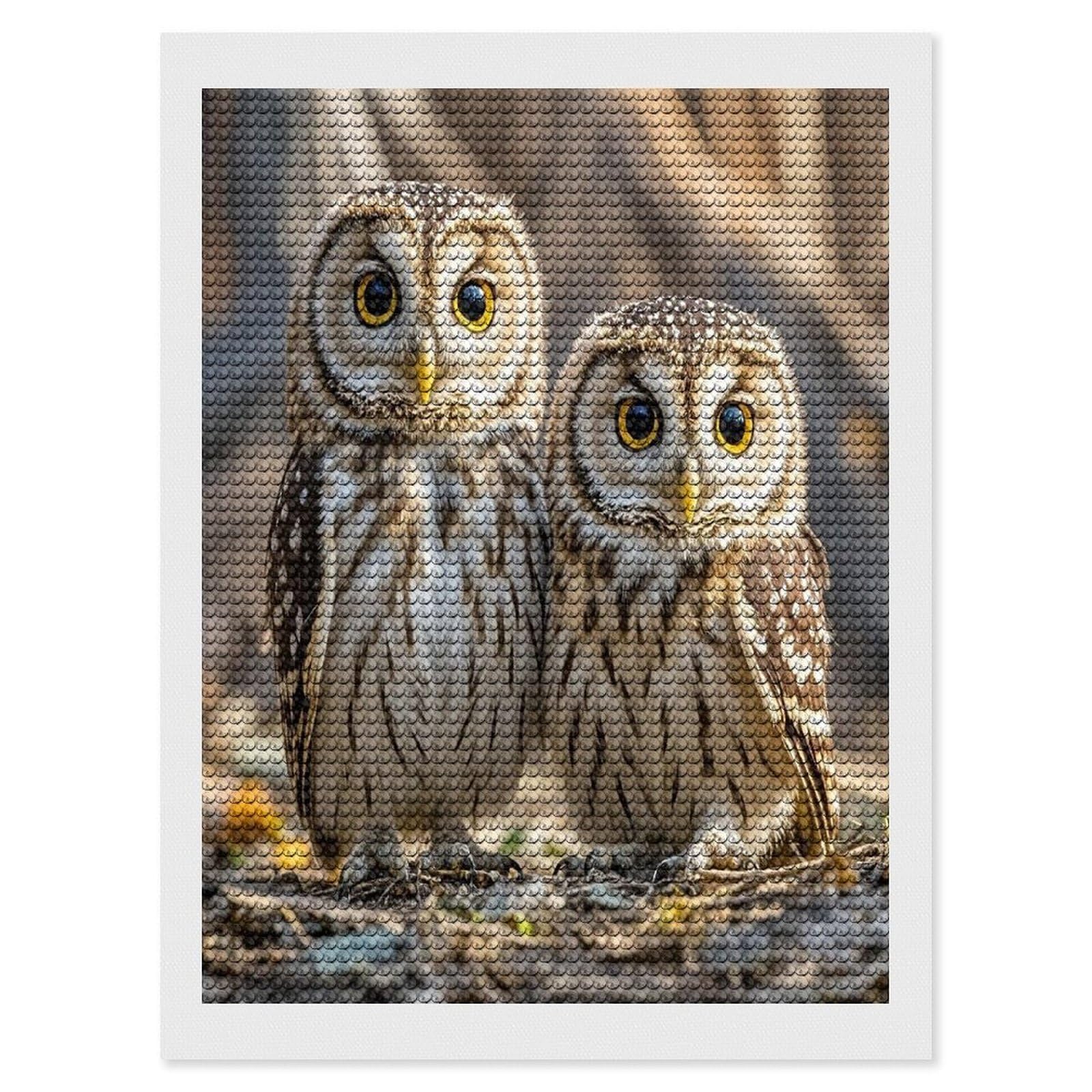 FekiLoot Real Cute Owls Diamond Painting Kits for Adults Full Round Drill Diamond Art Kits for Beginners 5D DIY Diamond Dots Paintings Diamonds Pictures Gem Art Home Wall Decor 12"x16"