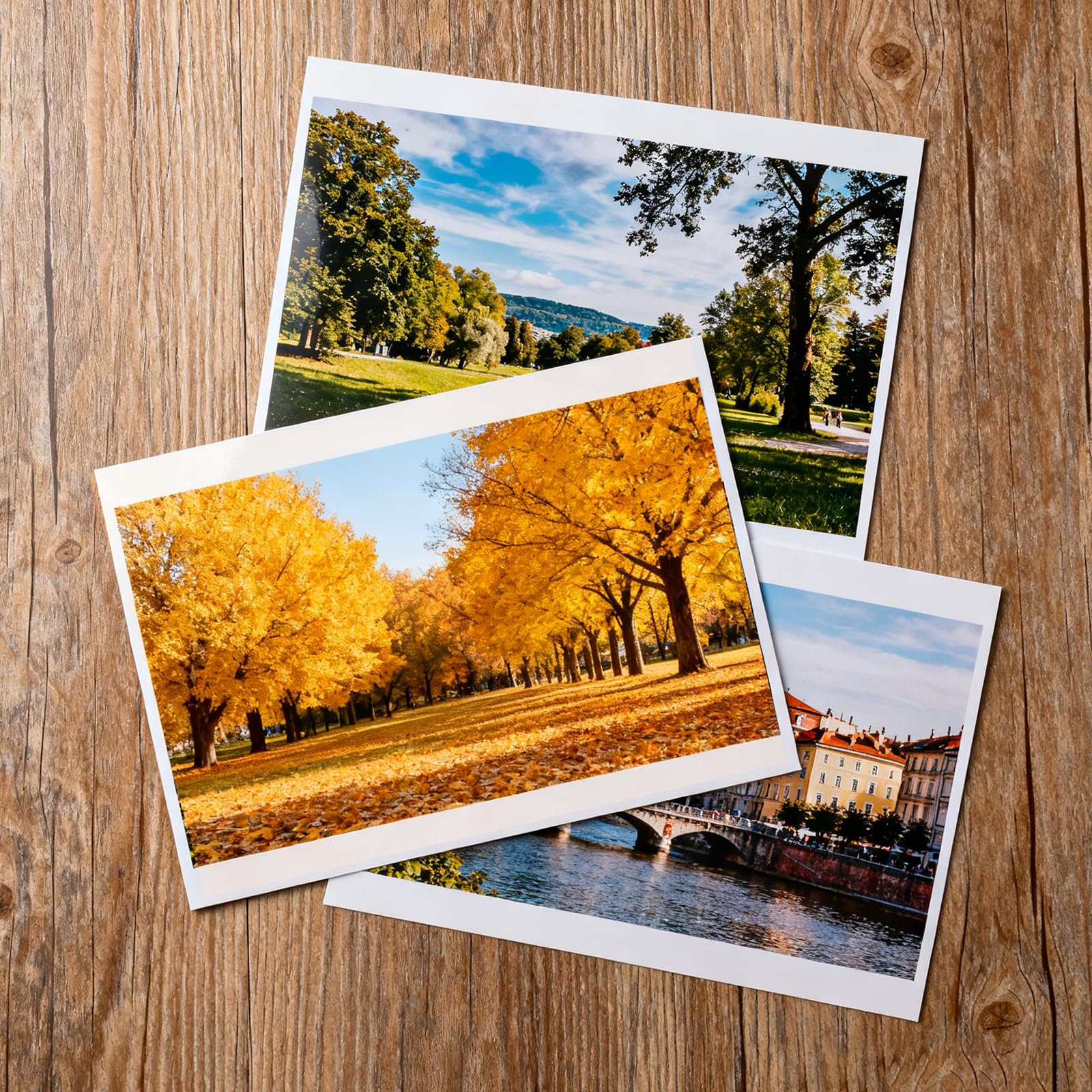 MediaRange Dubbelzijdig Mat A4  210x297mm  Inkjet Fotopapier 50 Vellen 250 Gr M2