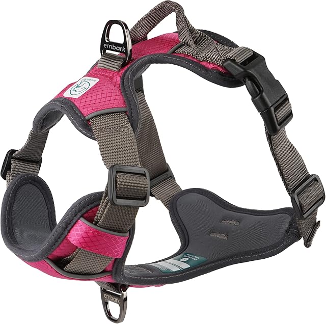 Embark Adventure Dog Harness, Easy On and Off with Front and Back Leash Attachments & Control Handle - No Pull Training, Size Adjustable and Non Choke (Small, Pink)