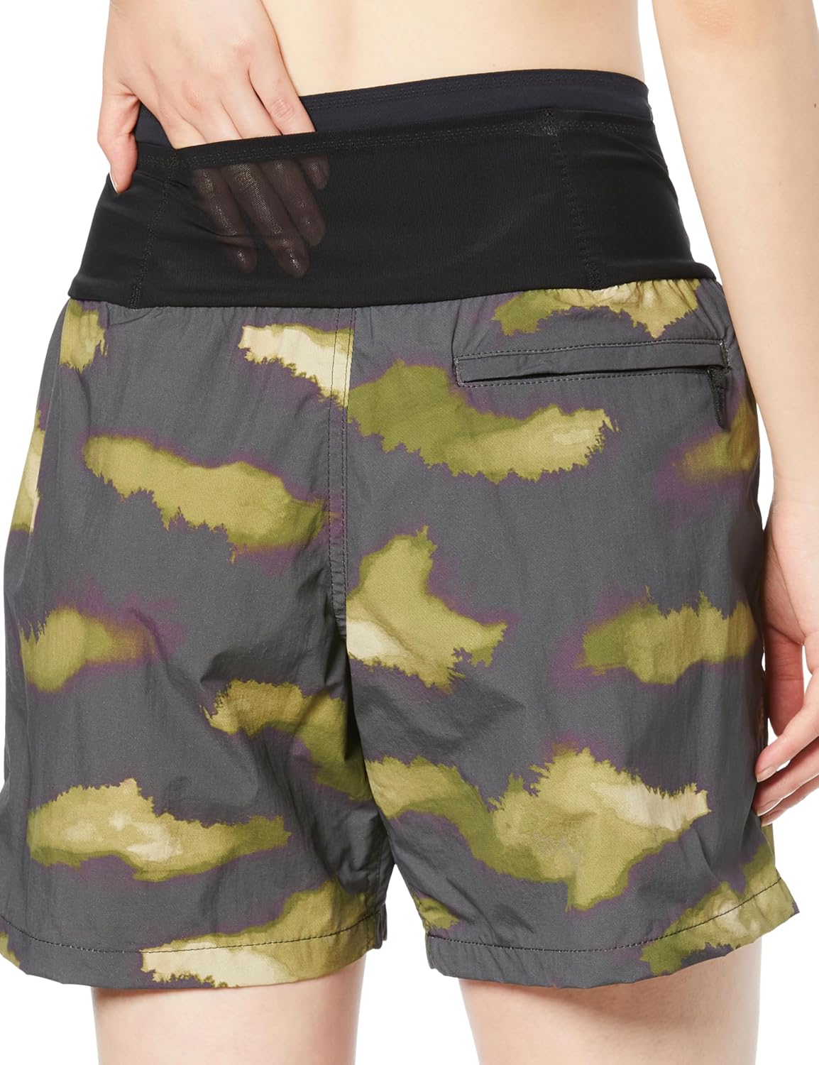 アリエル錦　抜き苗　速達付き アリエル錦 抜き苗 速達付き