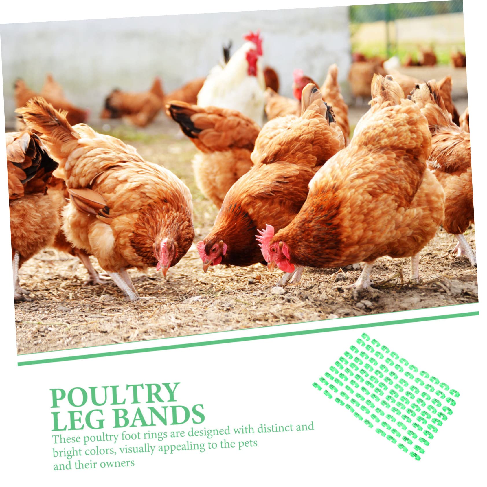 BESPORTBLE 200pièces Anneaux Numérotés Pour Poules Bracelets Identifiants De Volaille Vert Pour De Poules Canards Et Marquage Âges Et Séparation Élevages