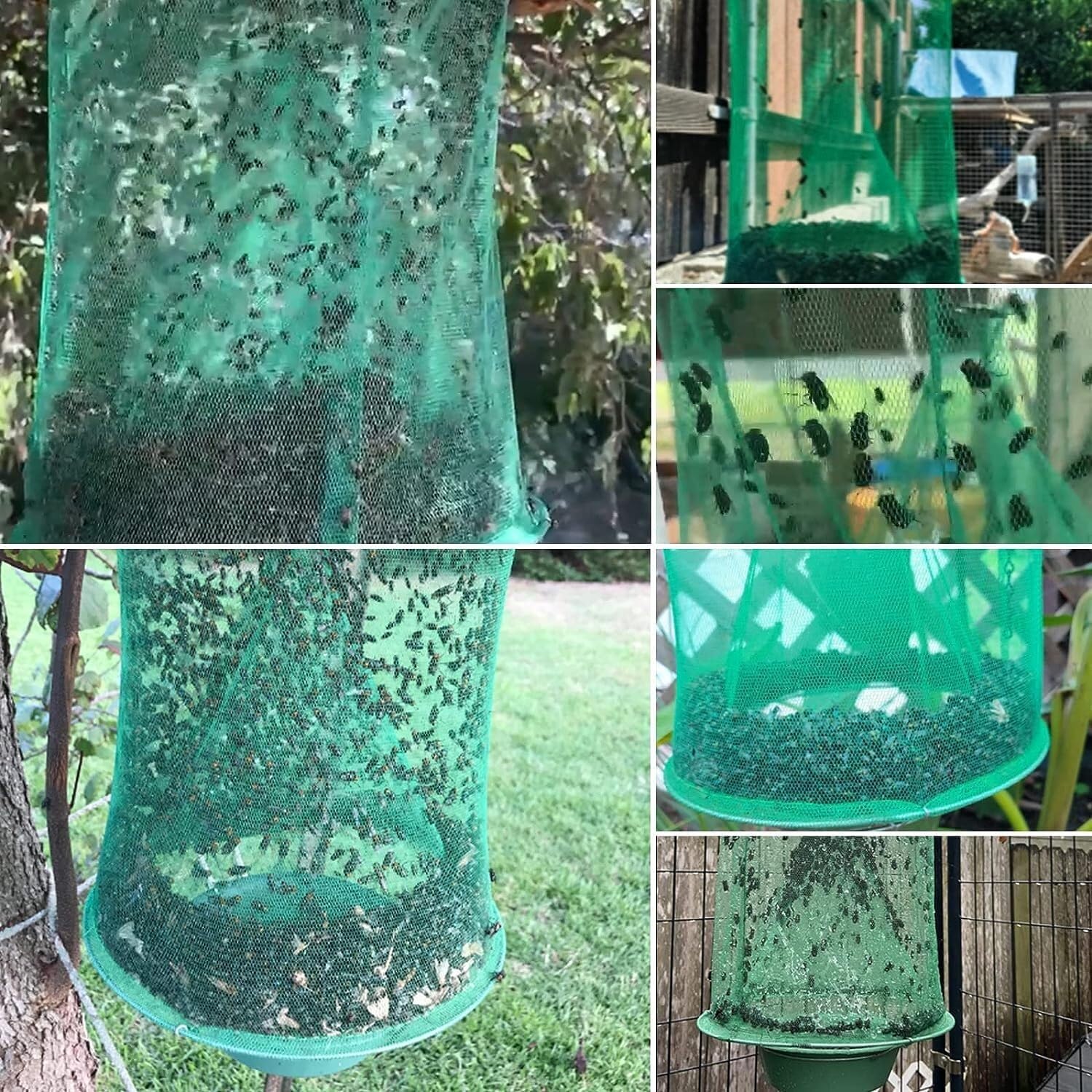 Confezione da 10 trappole per Mosche Ranch da Appendere all'aperto, Stabile per Allevamento di, riutilizzabili, per Cacciatori di Mosche, Gabbia di Controllo per granai e frutteti