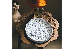 Melamine Dinner Plates for Home Restaurant Use, Set of 6