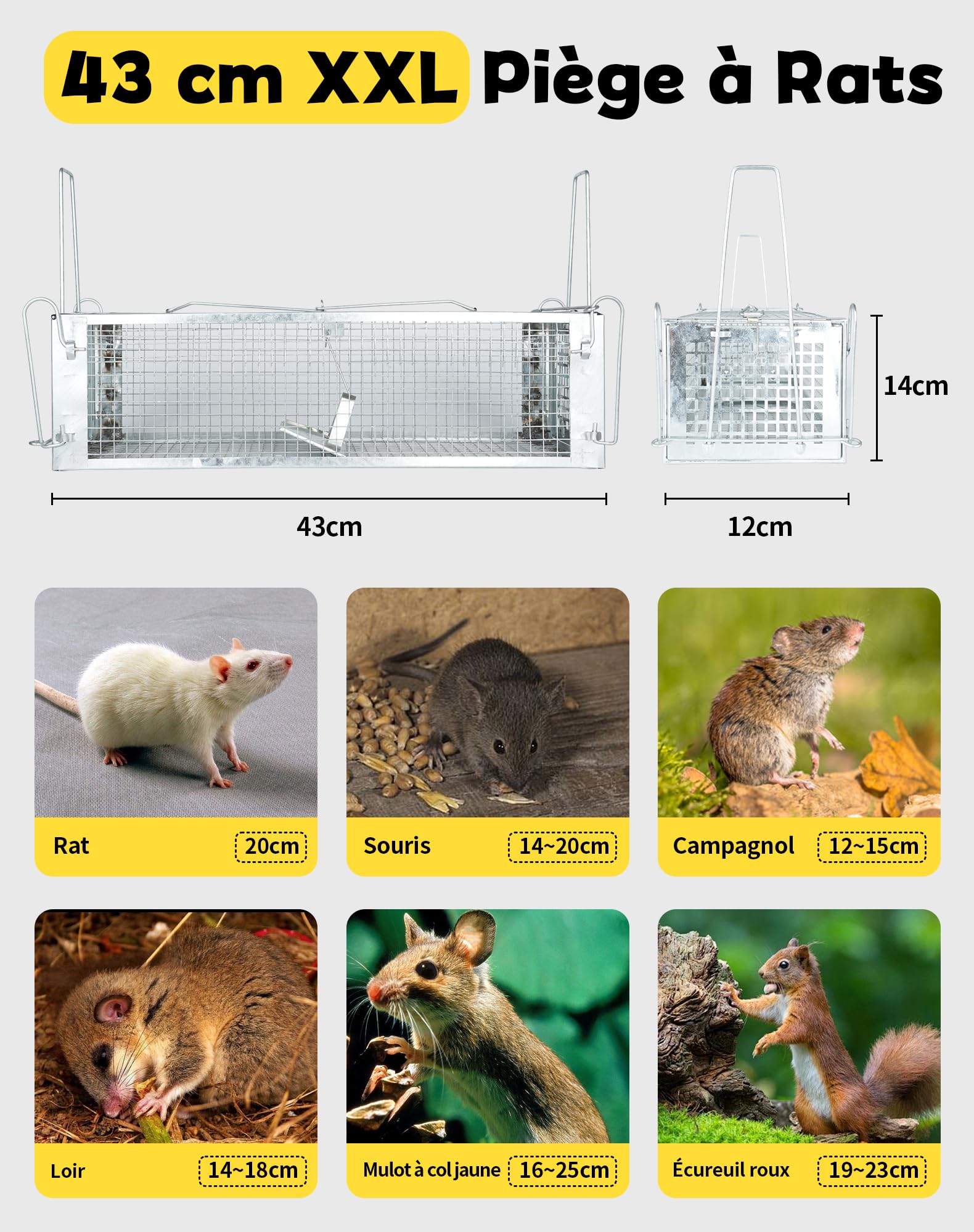 Piege a Rat Cage Rat XXL 43x14x12cm Piège à Souris Vivante pour Rats Loir Mulot Rongeurs Souris Attrape Rat à Double Porte Piege a Souris sans Tuer Piège à Rats Haute Sensibilité & Réutilisable