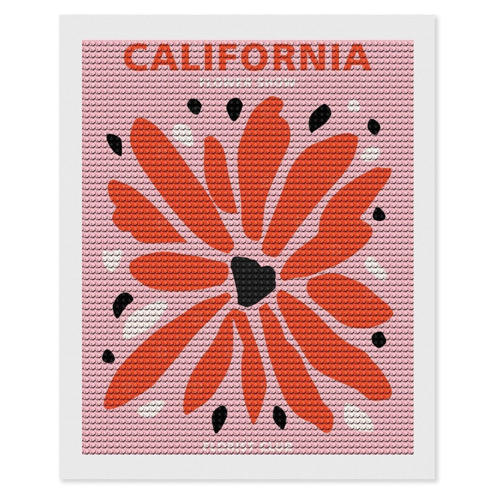 Junmoney California Florist Club DIY Diamond Art Canvas Kit 16"x20", for Adults, Decorate Your Room, Gift Idea, Modern Decor, Finish and Display