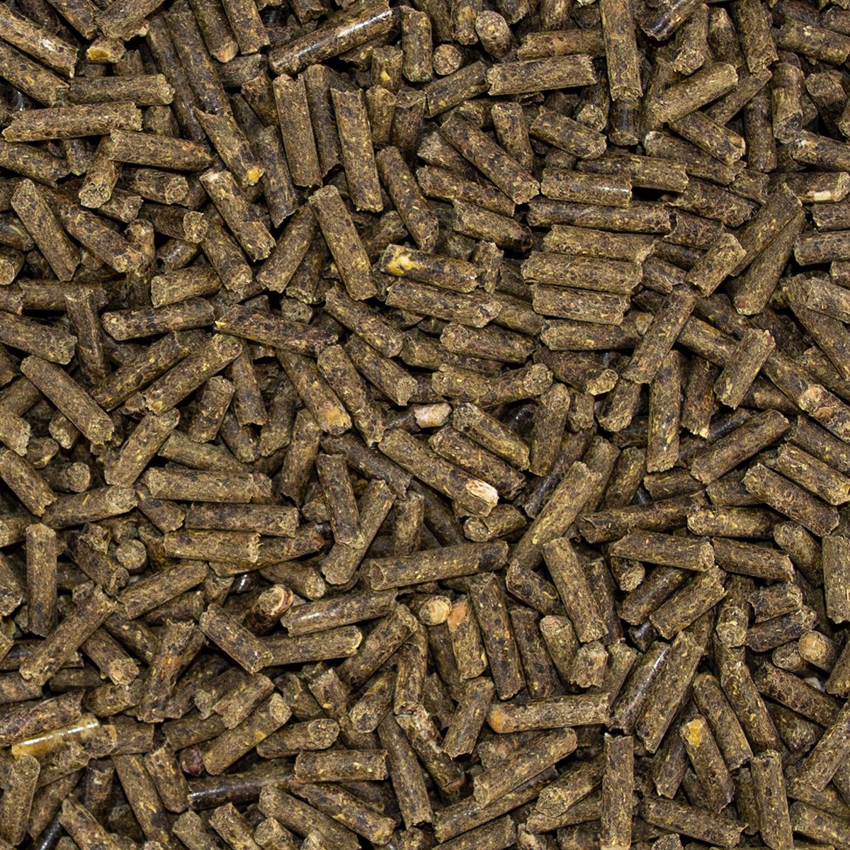Speed HOOF Boost, Zusatzfutter für strapazierfähige Pferdehufe, fördert Huffestigkeit und -elastizität, Wirkstoffkombination aus Biotin und Zink, getreidefrei, 1er Pack (1 x 1.5 Kg)