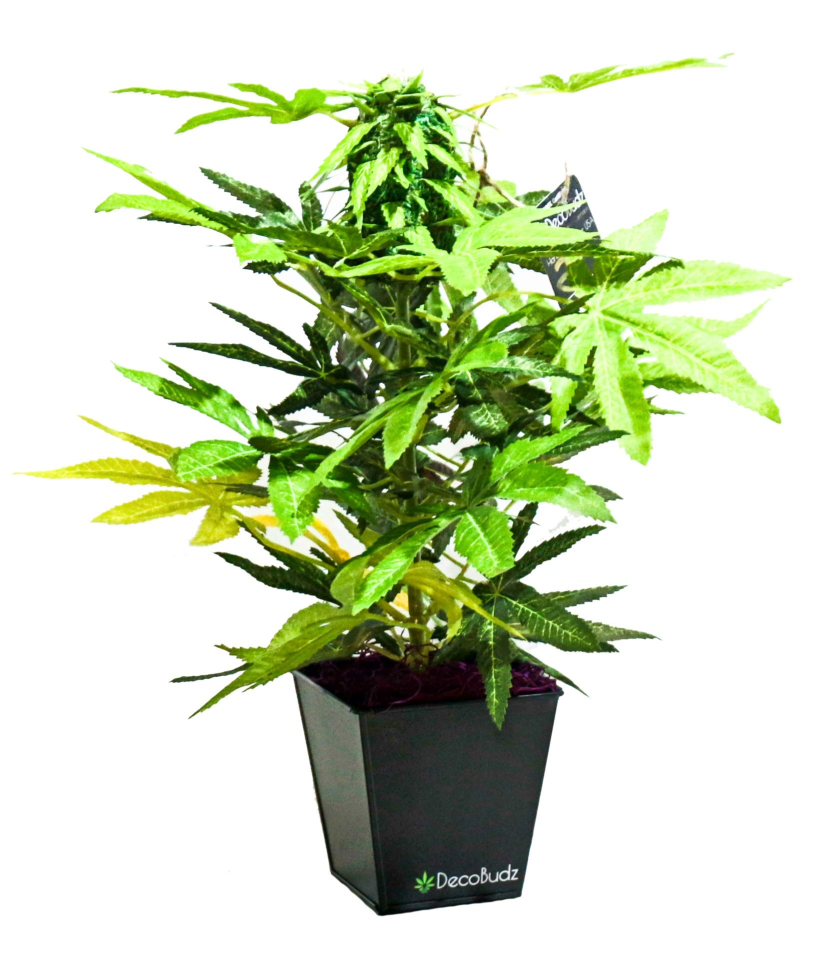 Amazon｜リアルな人工大麻装飾 – 人工雑草植物 15インチ 大きな