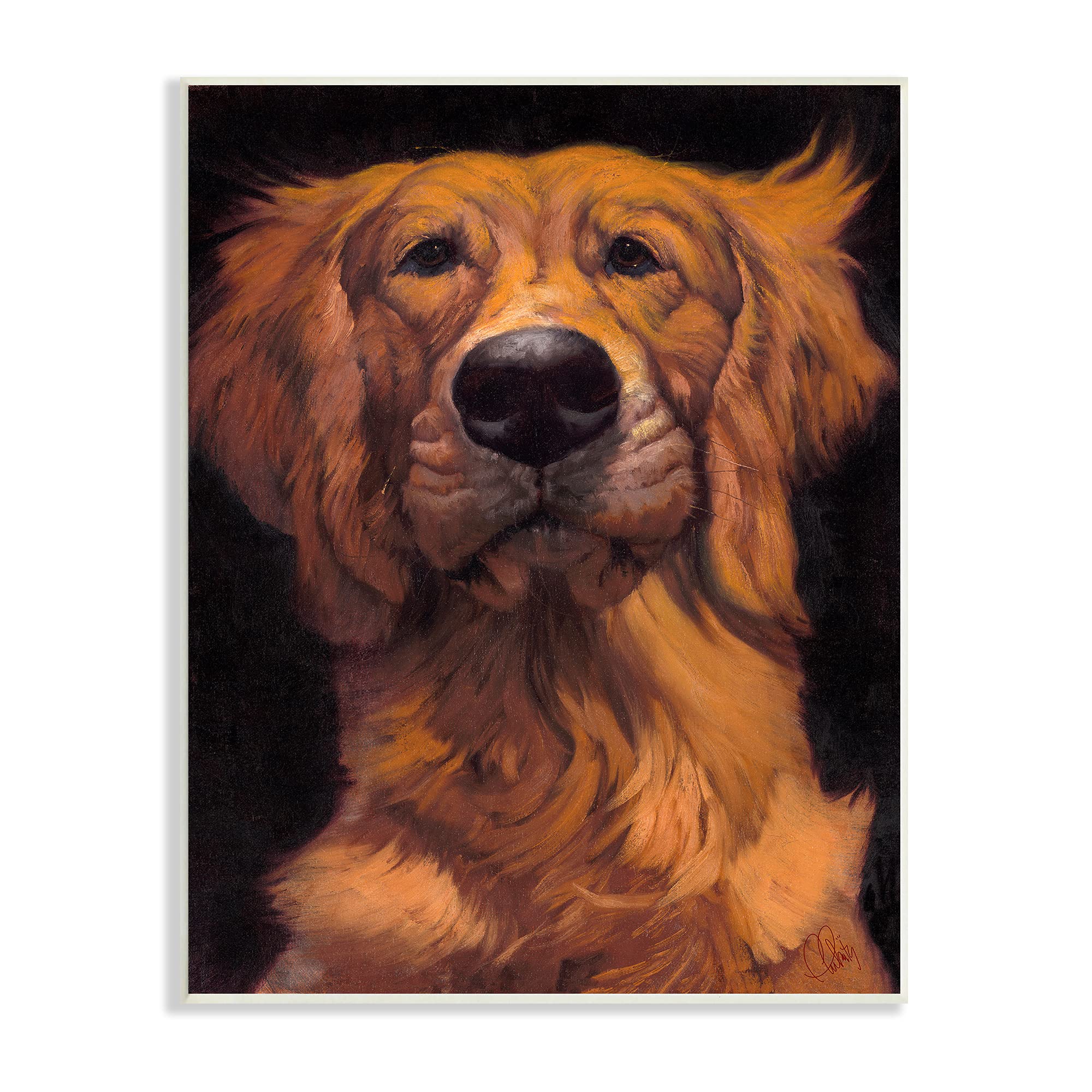 Stupell Industries Golden Retriever Pet Dog Portrait Bold Animal Painting, Design by Thomas Fluharty Wall Plaque, 13 x 19, Black