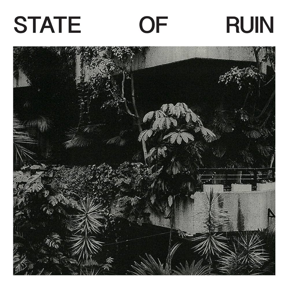 その他 State of Ruin [CD] Amazon.co.jp: STATE OF RUIN [Analog]: ミュージック