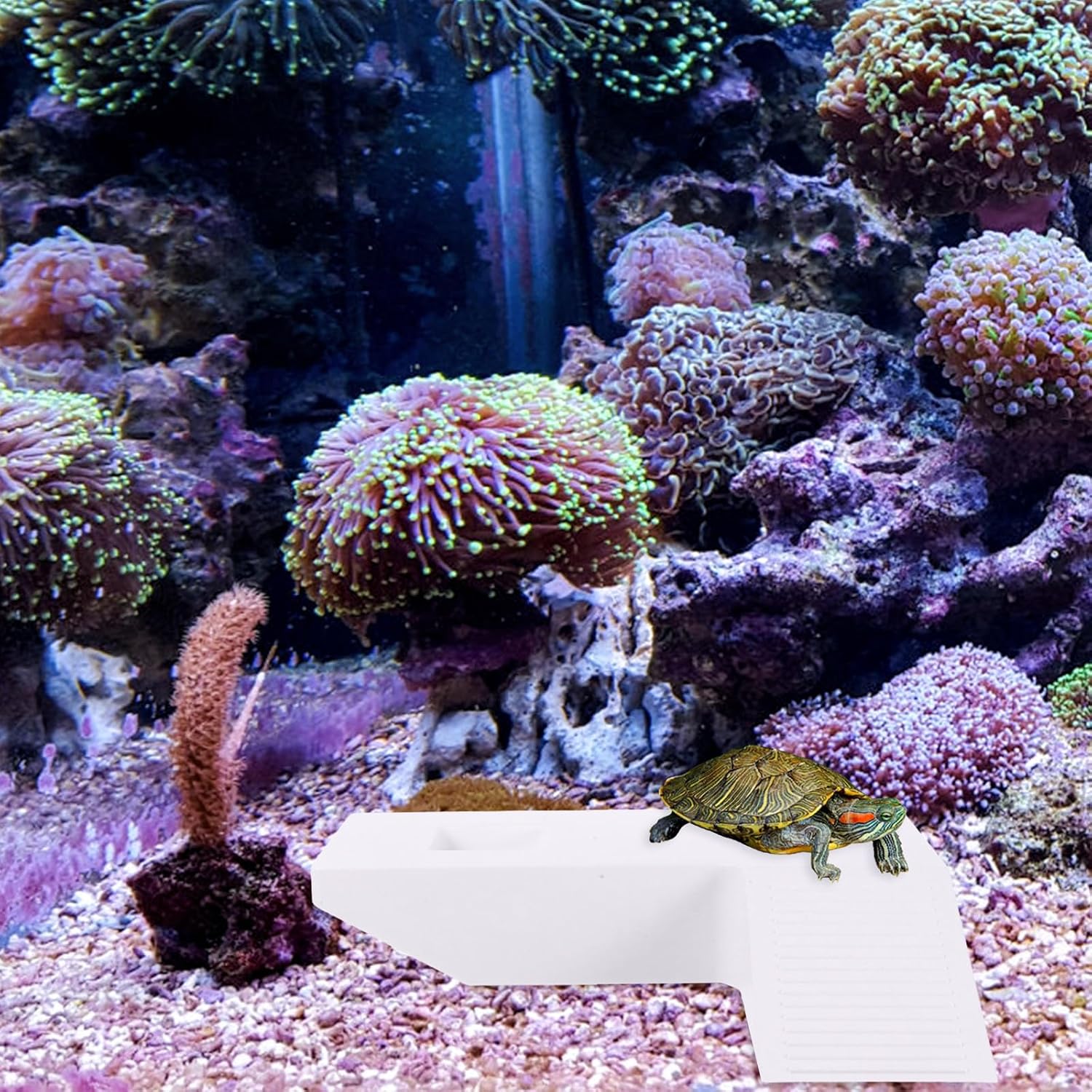 Turtle Basking Platform with Climbing Ramp for Aquatic Turtle Tanks Abs Material Easy Installation Comfortable Environment for Tortoise