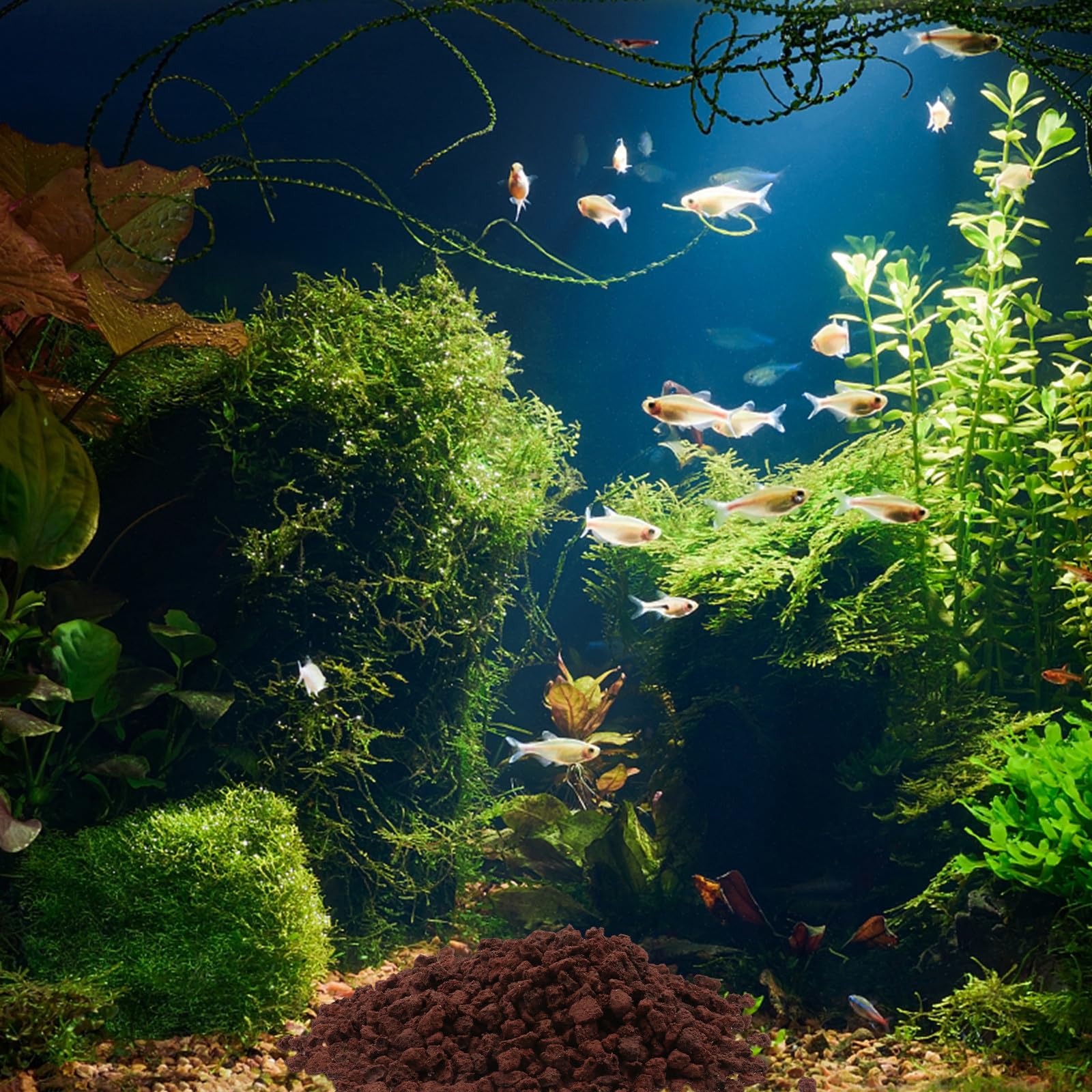 ifundom Piedras Volcánicas de 500 G para Filtro de Acuario Permeabilidad al Agua y Adornos para Peceras de Agua y Marina
