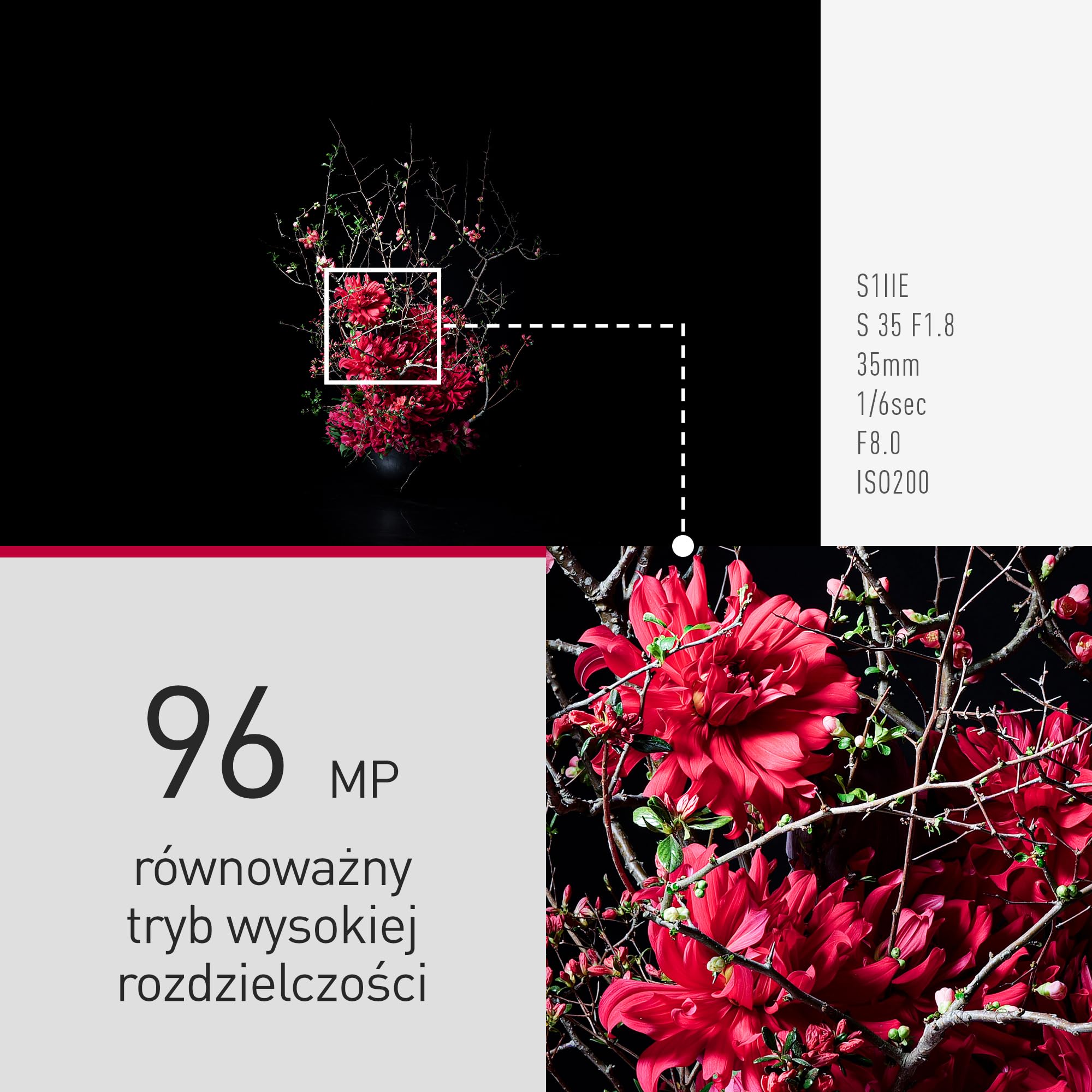Panasonic LUMIX DC-S1M2ESE | Pełnoklatkowy aparat bezlusterkowy, 24 MP, Cs4K 60p, 6K 30p Open Gate, ProRes RAW, fazowy AF Hybrydowy, L-Mount, sam korpus, czarny