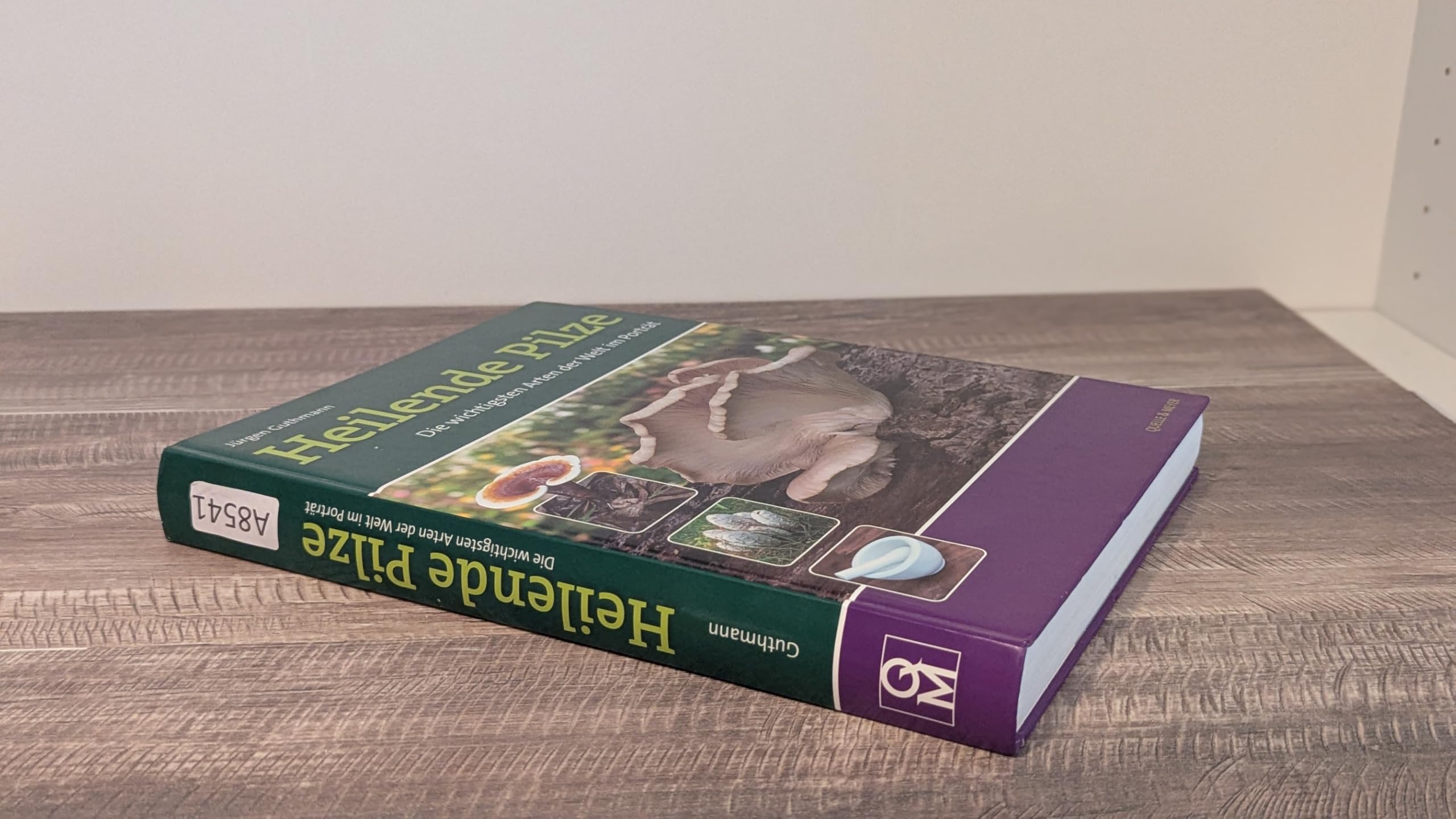 Heilende Pilze: Die wichtigsten Arten der Welt im Porträt