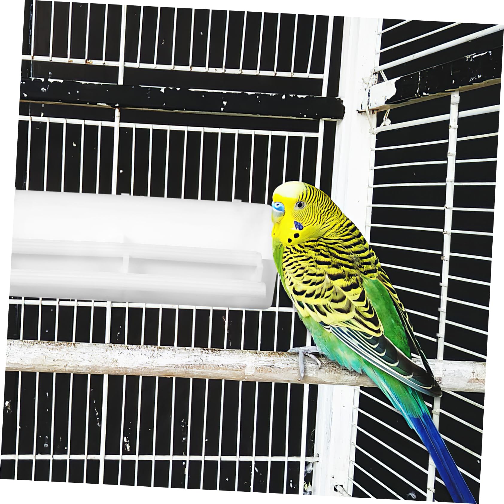 BESPORTBLE 4 Juegos De Jaula Caja De Comida Cuchara De Comida para Pájaros Jaulas De Pájaros Dispensador De Agua Comederos para Interior Comedero para Soporte De Comida para