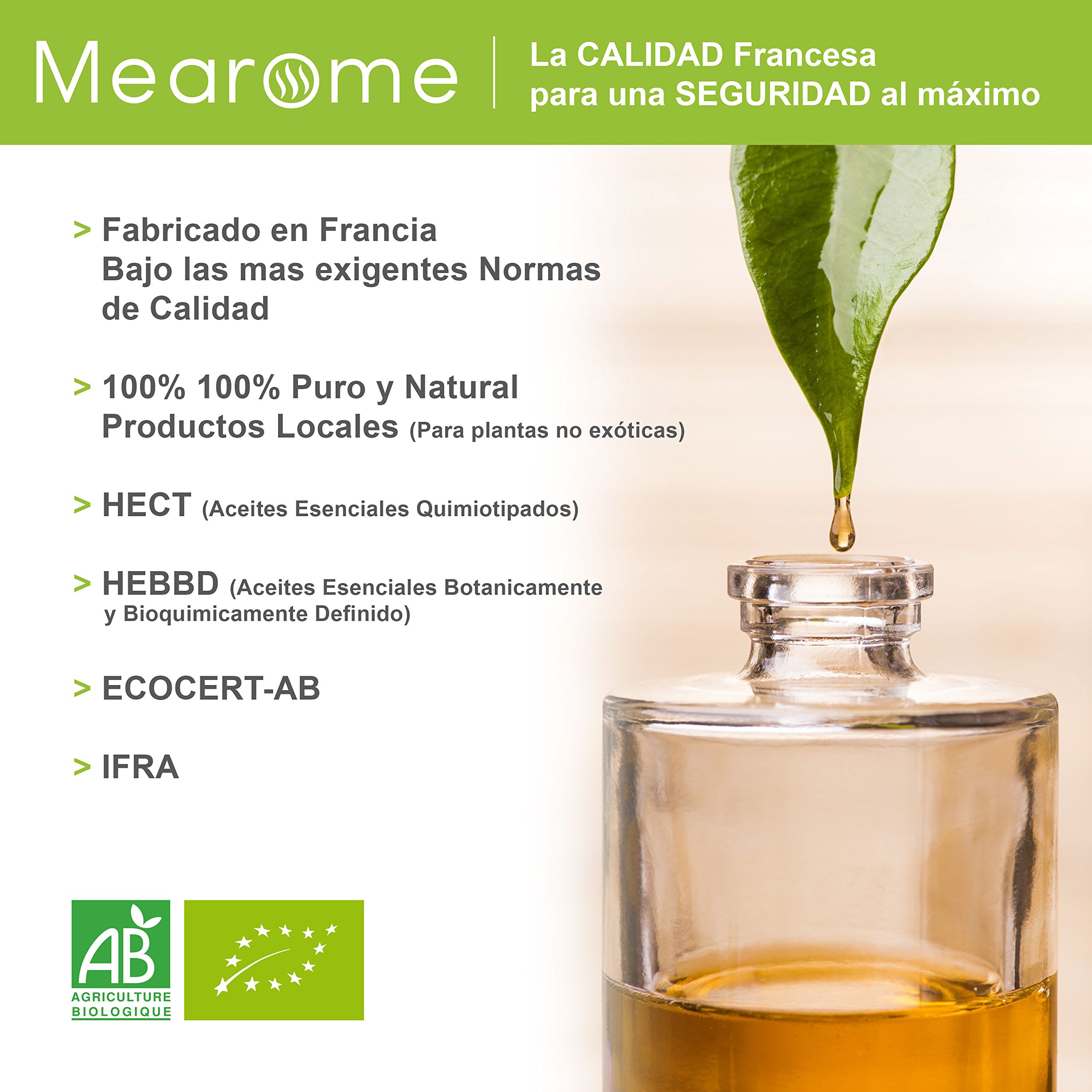 Nutrimea Aceite Esencial de Lavanda Verdadera BIO 30ml 100% Puro Natural Aromaterapia Masaje Difusor
