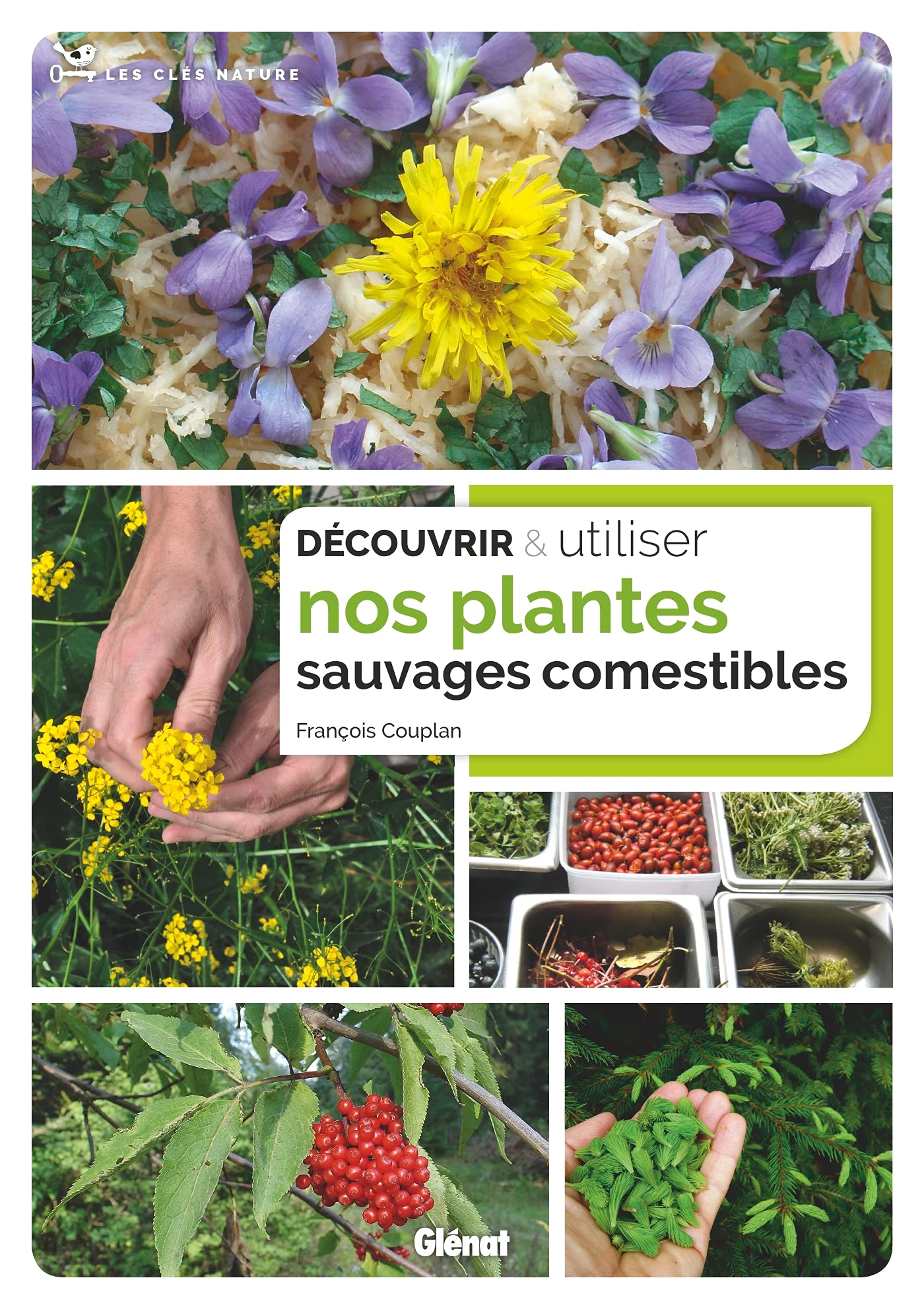 Plantes sauvages comestibles botanique cueillette guide pratique flore de France