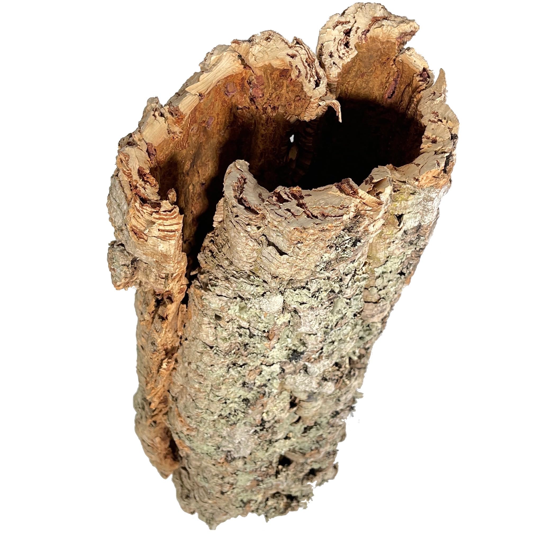 Korkrinde für Terrarien oder als Deko Mind. 40 - max. 70 cm lang; Außendurchmesser: ca. 20-30 cm