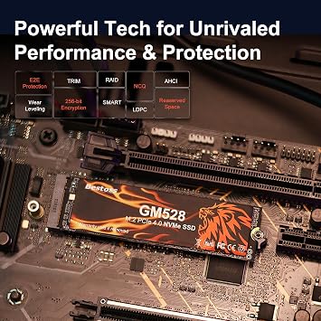 Bestoss 512GB M.2 SSD NVMe PCIe 2280 Internal Solid State Hard Drive, Up to 5000 MB/s, 3D NAND SLC Cache, SSD for Gaming PC Storage, Business Laptop, Home Entertainment, Creative Workflow