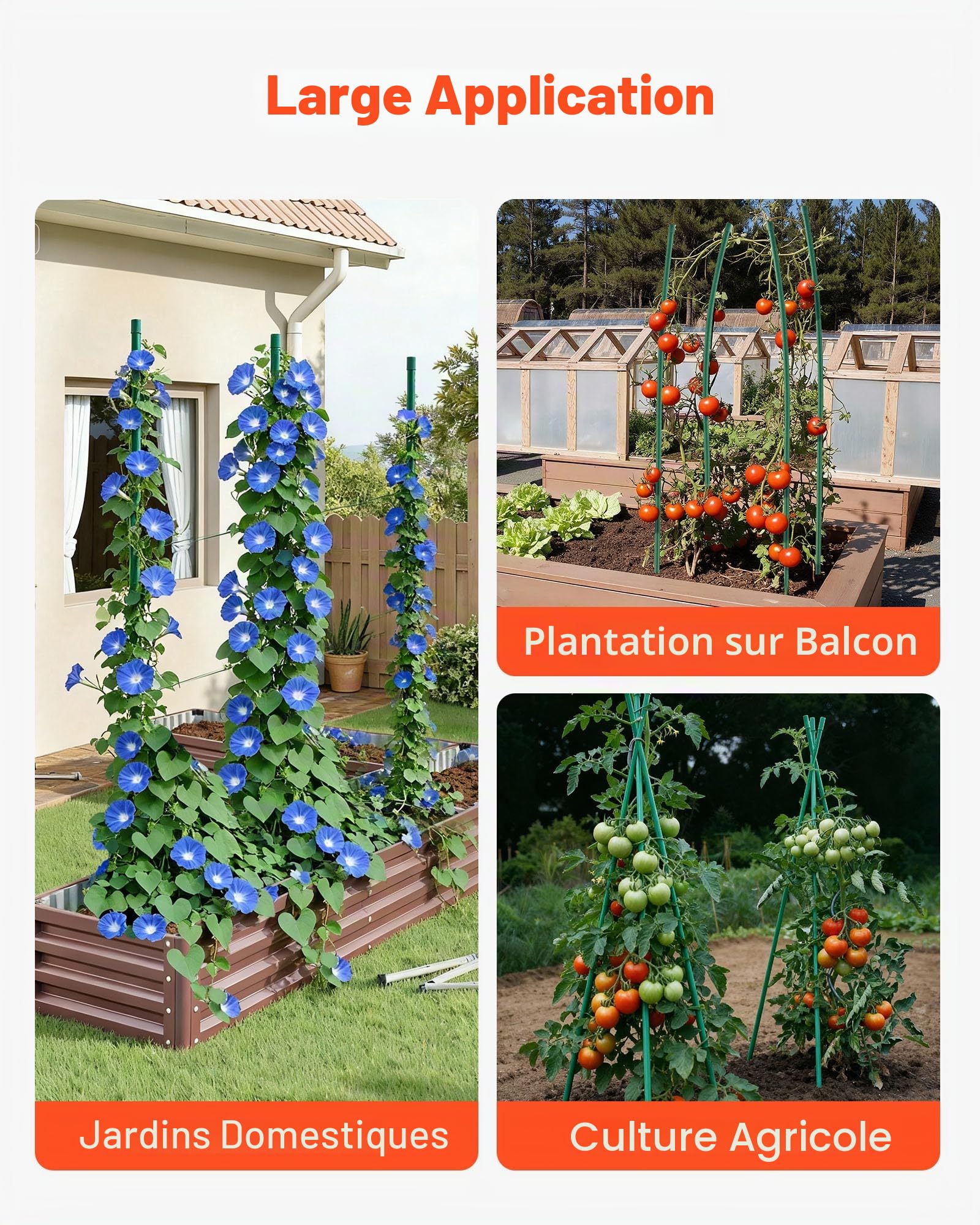 VEVOR Tuteur Plante 1,8 m Tuteur Plante Grimpante 25 PCS Tuteurs à Tomates Jardin pour Soutien Plantes Grimpantes Légumes Extérieur, en Métal Recouvert Plastique Extrémité Pointue Picots Antidérapants