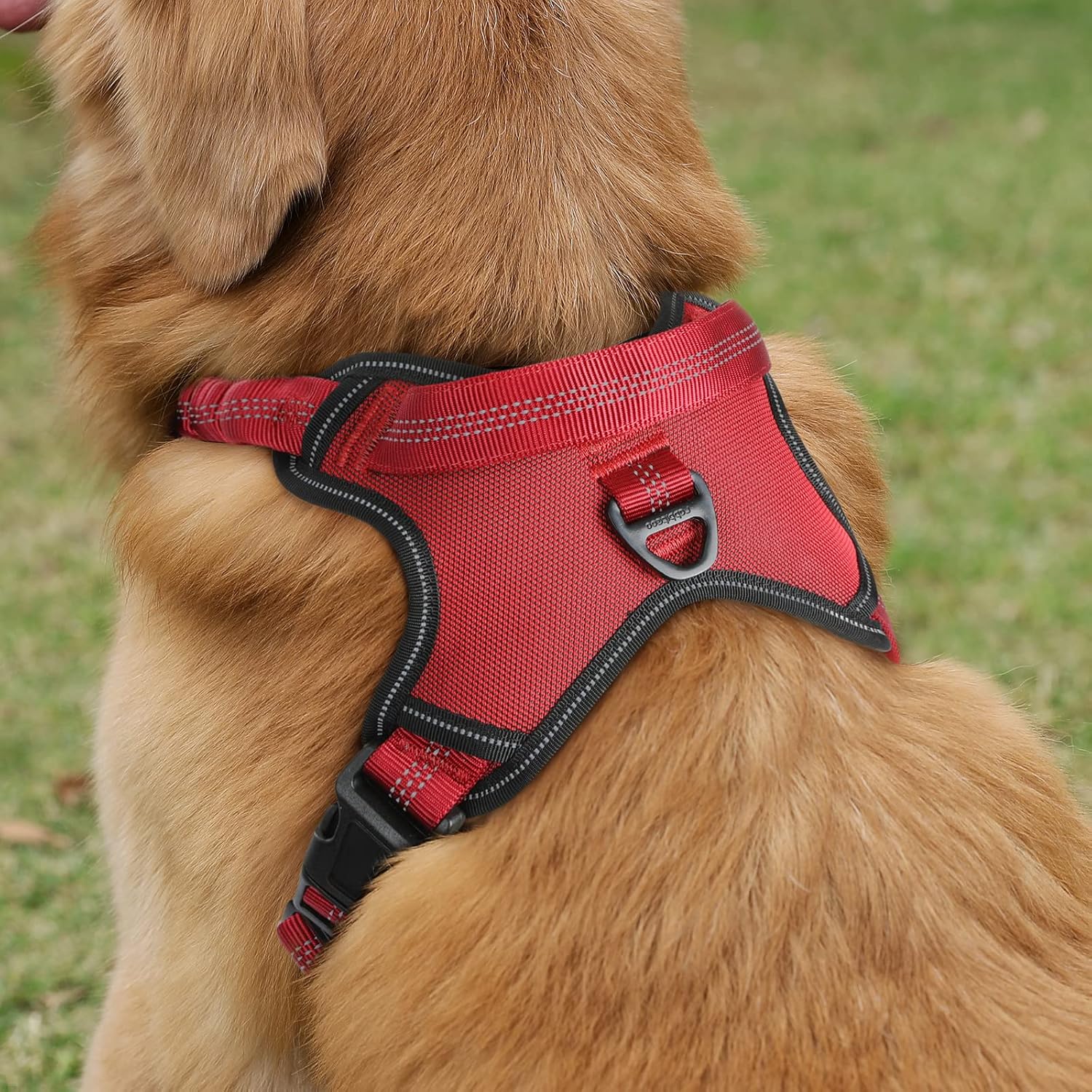 rabbitgoo Dog Harness, No Pull Vest Harness with Shock-Absorbing Bungee Straps, Adjustable Dog Walking Harness with Easy Control Handle, Reflective Pet Harness for Small Medium Large Dogs