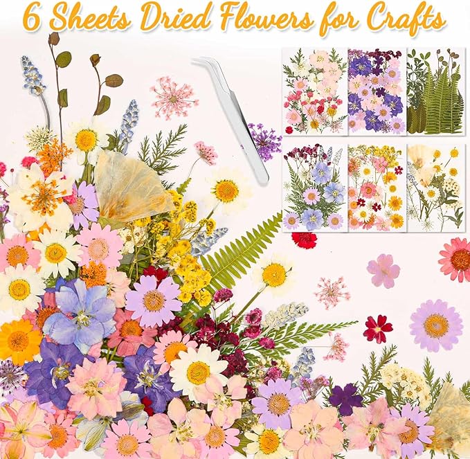 124 Piezas Flores Secas Prensadas Reales para Manualidades de Resina miniatura 6