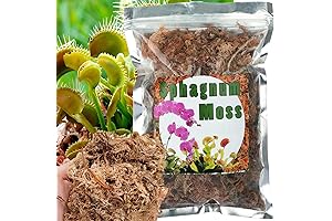 Sphagnum Moss: Your Miracle Soil for Carnivorous Plants