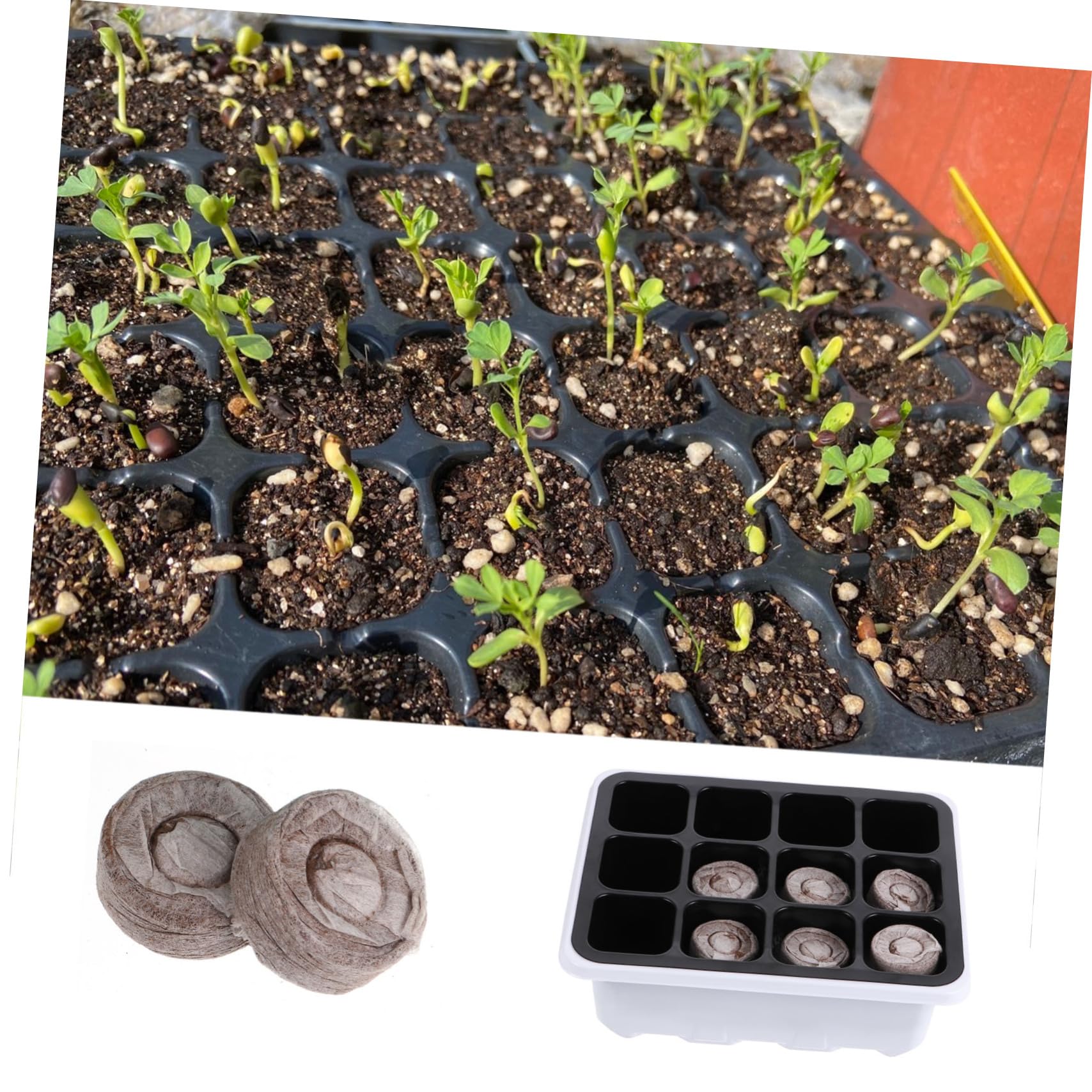 ibasenice 3 Sätze Teiliges Set Anzuchtschalen Mit Löchern Für Gewächshausgarten Robuste Und Wiederverwendbare Keimschalen Für Blumen Gemüse Und Früchte Einfach Zu Handhaben Für 12 Stück * 3