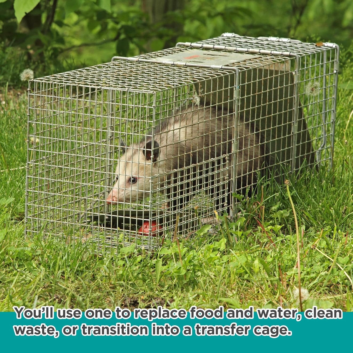 Qualirey Trap Divider Stainless Steel Small Animal Trap Fork Divider for 12" Wide and Smaller Live Feral Cat Cages