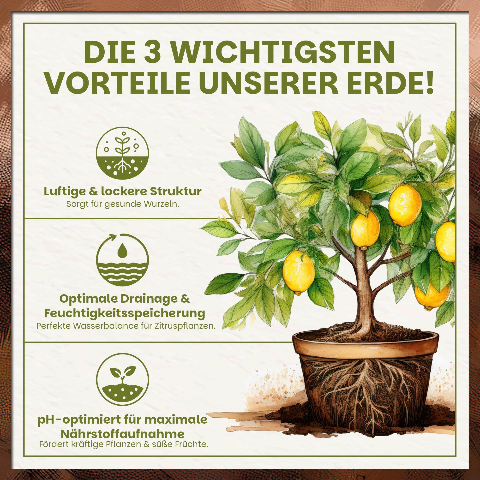 Green Home Zitruserde 72L - Erde für Zitruspflanzen & Mediterrane Pflanzen | Citrus Erde mit Langzeitdünger | Perlite, Kokosfasern & Rindenhumus | Für Garten, Kübel & Hochbeet, pH 5,8