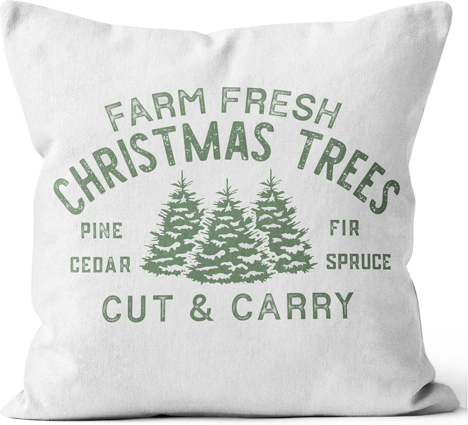 QGFM Green Christmas Pillow Covers 18x18，Farm Fresh