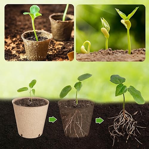 Miniatura 3 de ModaSin 130 macetas de turba orgánica, maceta de vivero de 3.15 pulgadas, macetas redondas con agujeros de drenaje, bandeja de inicio de semillas