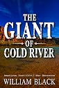 kindle westerns Top1商品