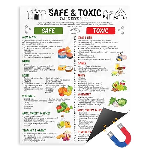 Safe and Toxic Foods for Dogs and Cats Magnet Poster,