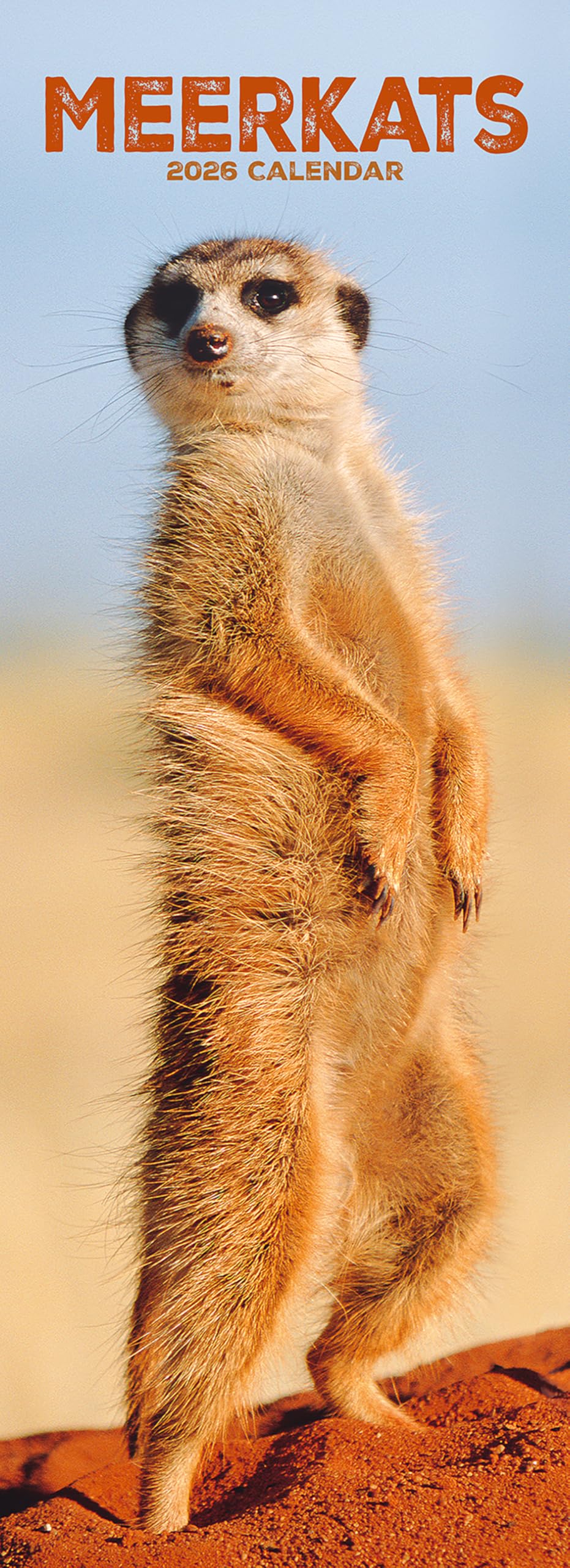 Meerkats Slim 2026 Calendar | Slimline Wall Calendar | Animal Gift | Plasti NEW
