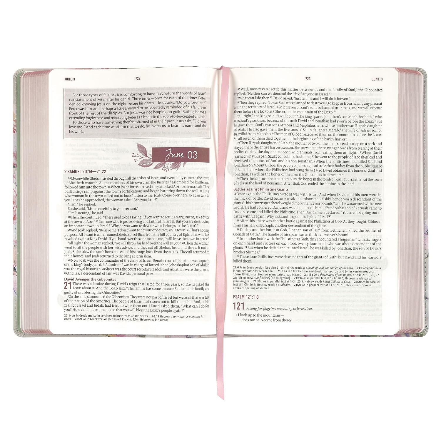 NLT Holy Bible Everyday Devotional Bible for Women New Living Translation, Vegan Leather, Pink Floral Printed, Flexible Daily Bible Reading Plan Options (NLT Womens Devo Editions)