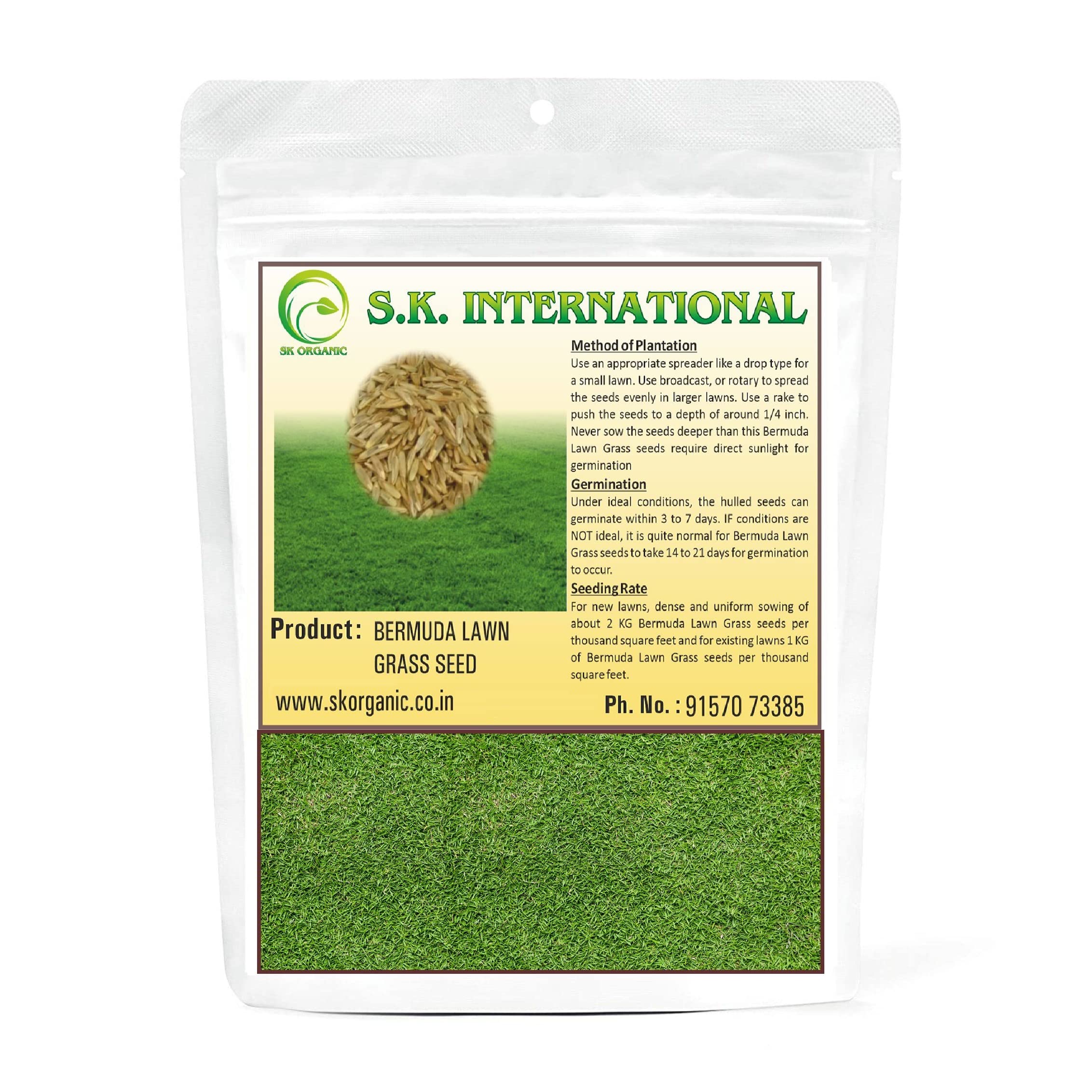 SK Organic Bermuda Lawn Grass seeds for Garden and Farmhouse (2KG) (B0C4V2BH48) Amazon Price History, Amazon Price Tracker