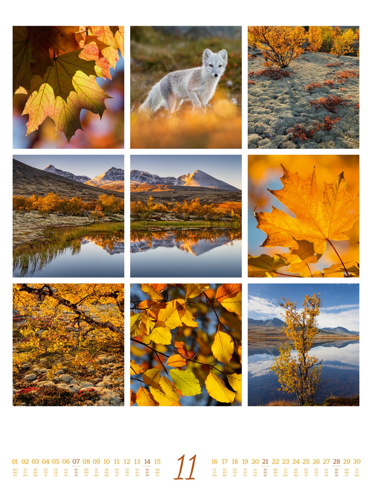 Inspiration Natur Kalender 2027: Vielfältiger Natur-Kalender im großen Hochformat (50x66 cm) | Mehrteilige Bildmosaike im Triplet-Stil