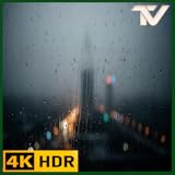 霧深い森の雨音 - 深い森の雰囲気でリラックス